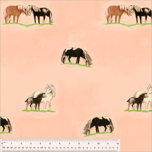 Ponies | Heather Ross by Hand