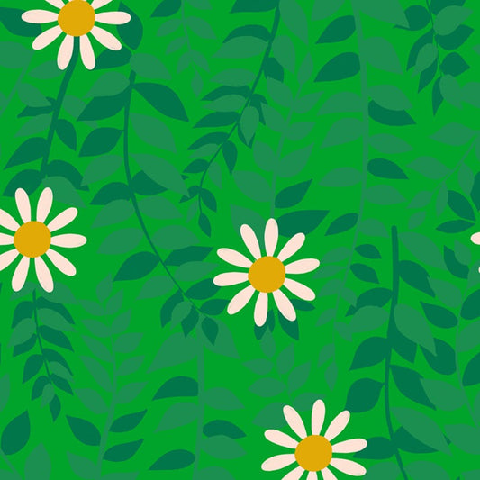 Daisies in Verdant | Flowerland